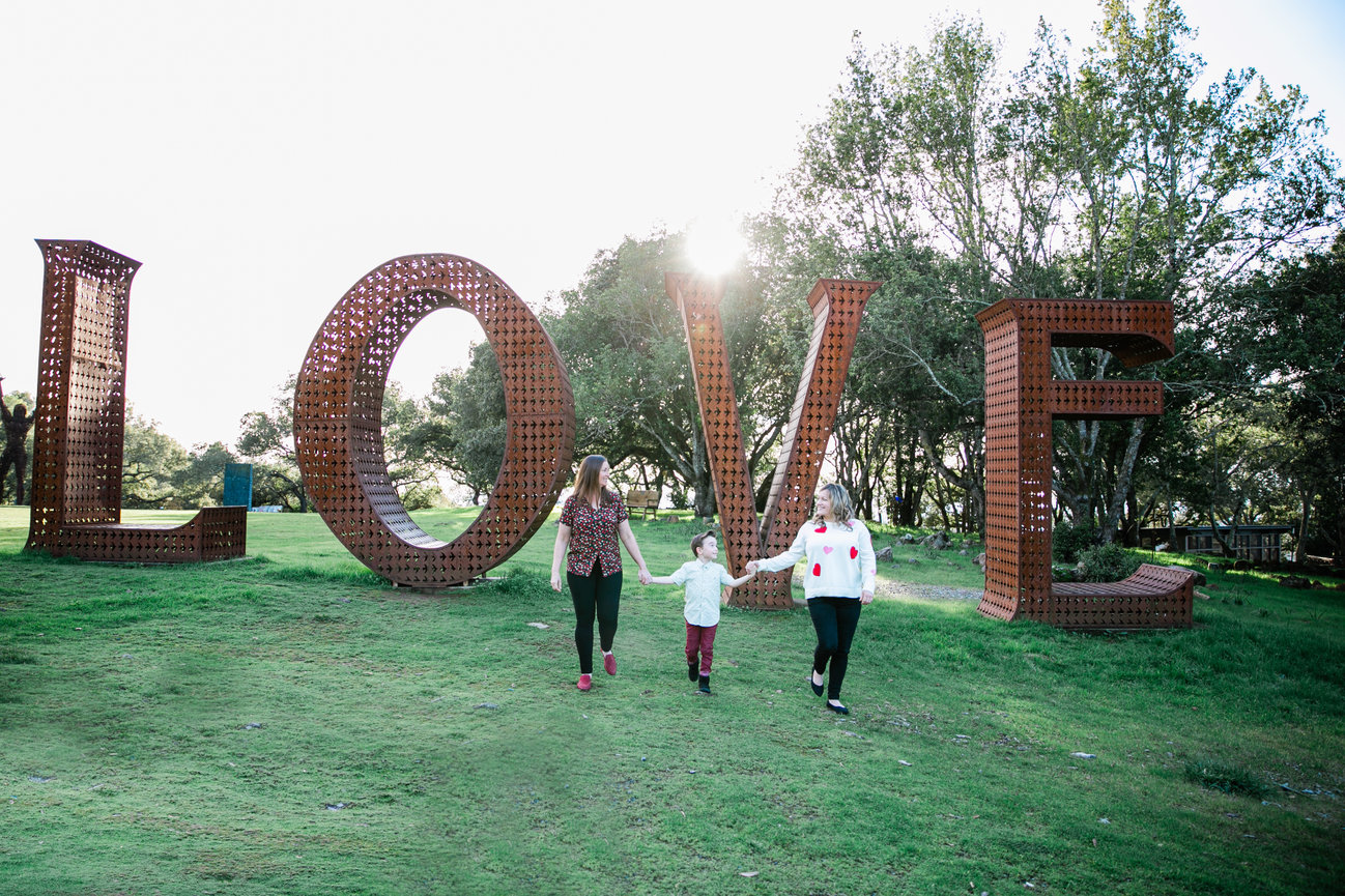 A Stunning Indian-American Wedding at Limerick Lane Cellars in Healdsburg Studio J Portraits