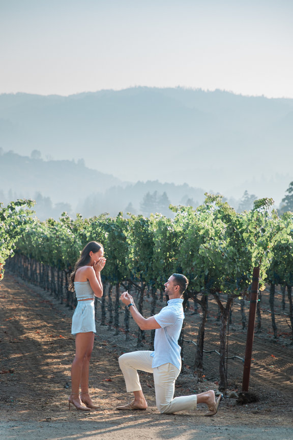 A Stunning Indian-American Wedding at Limerick Lane Cellars in Healdsburg Studio J Portraits