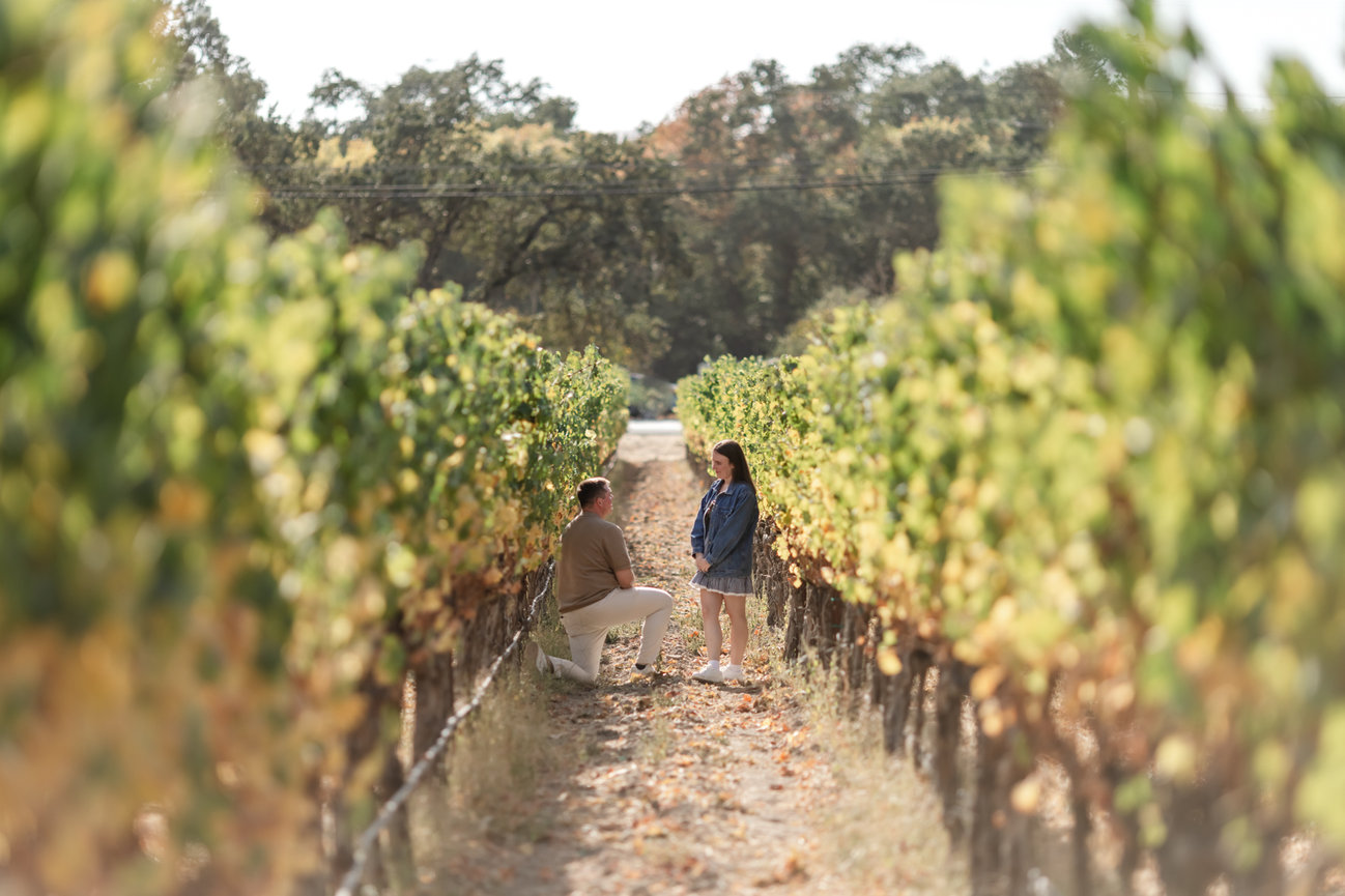 A Stunning Indian-American Wedding at Limerick Lane Cellars in Healdsburg Studio J Portraits