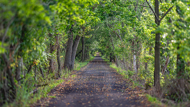 Kaiyah Takota The Final Chapter - A Novel Husky: Chapter 48