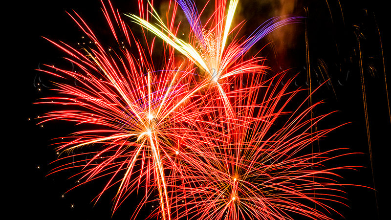 Kaiyah Takota The Final Chapter - A Novel Husky: Chapter 48