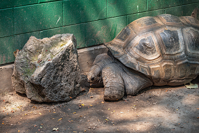 Kaiyah Takota The Final Chapter - A Novel Husky: Chapter 48