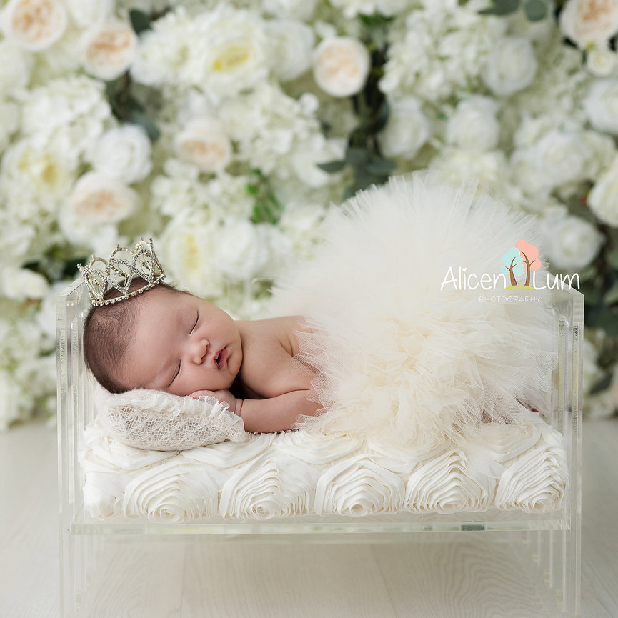 2025 Black Friday Special at Alicen Lum Photography