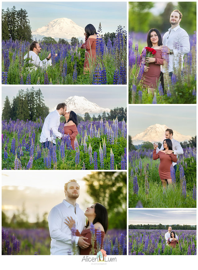 2025 Black Friday Special at Alicen Lum Photography