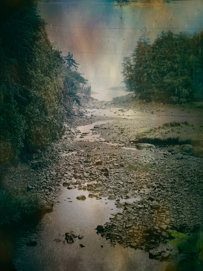 The Endangered Lobstermen continues....