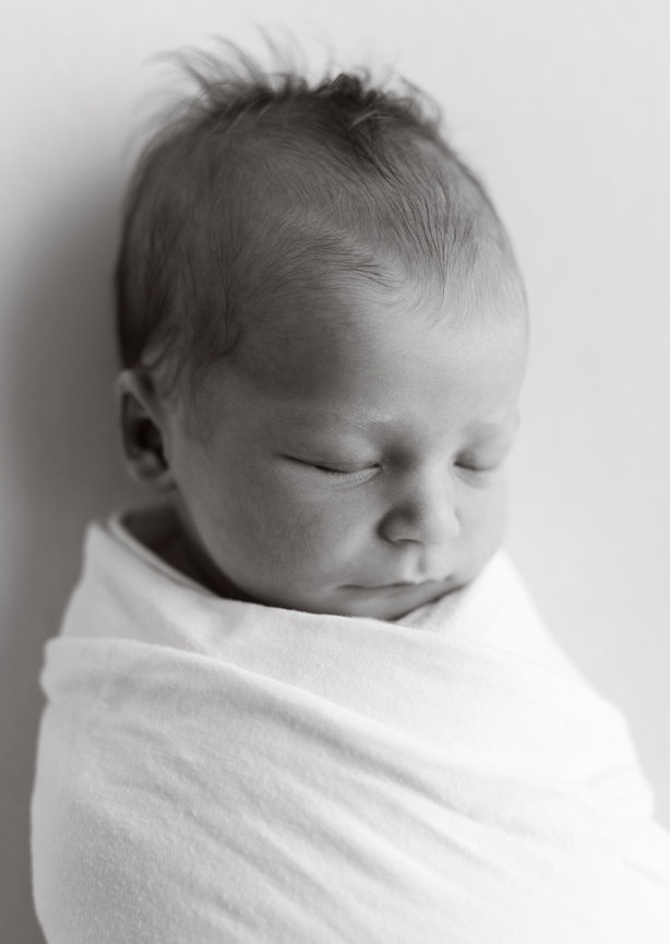 Multi-Generation Family Portraits: a Not-to-Miss Experience!