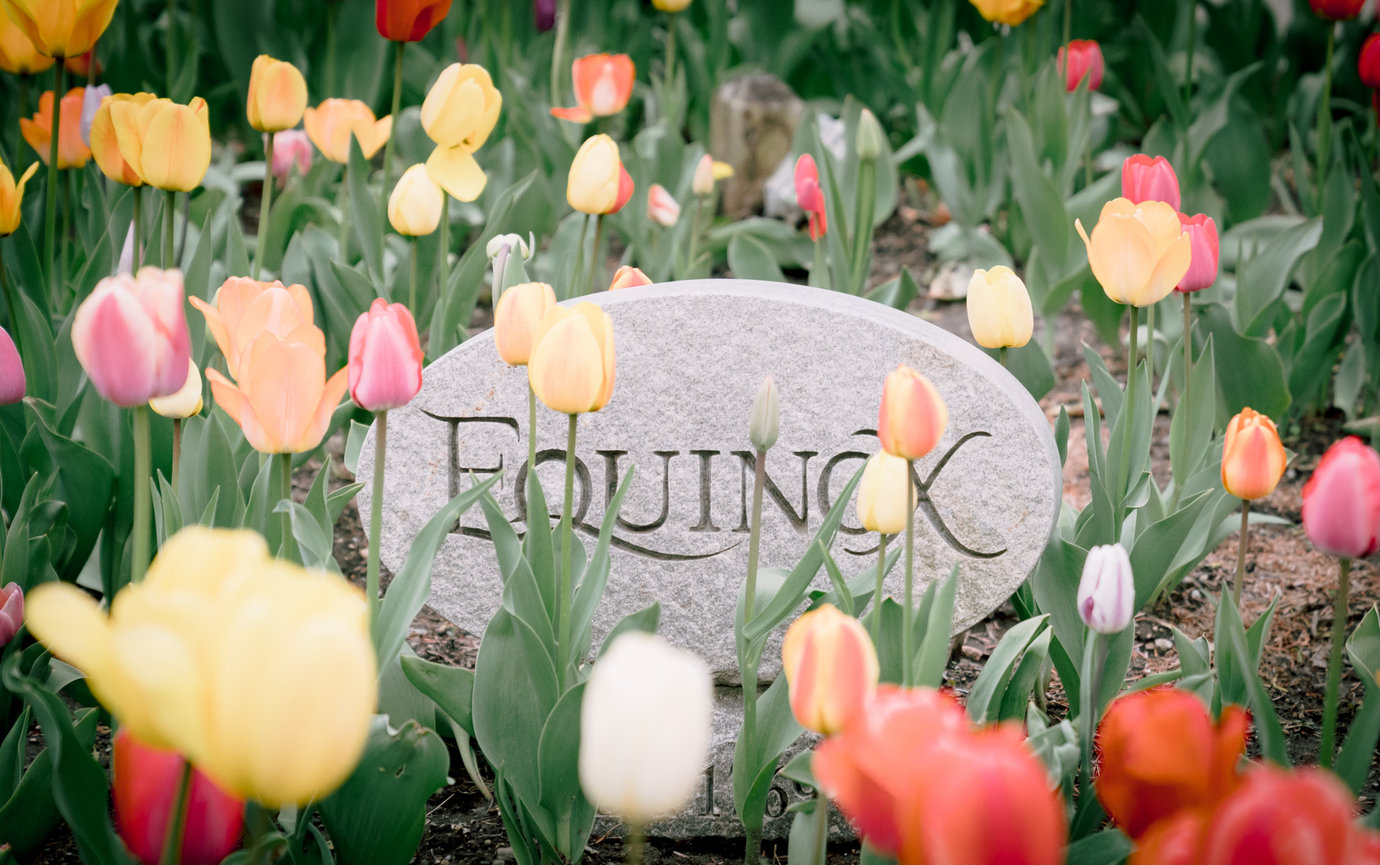 Do You Need a Second Photographer for Your Wedding?