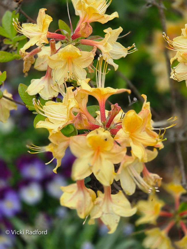 Schedule YOUR Professional Headshot - Serving Greensboro and The Greater NC Triad