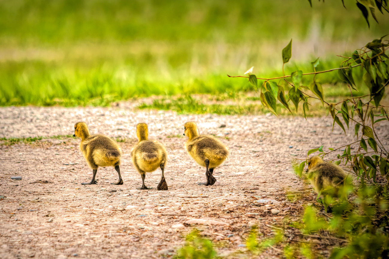 What to expect in a Photo Story Branding Session