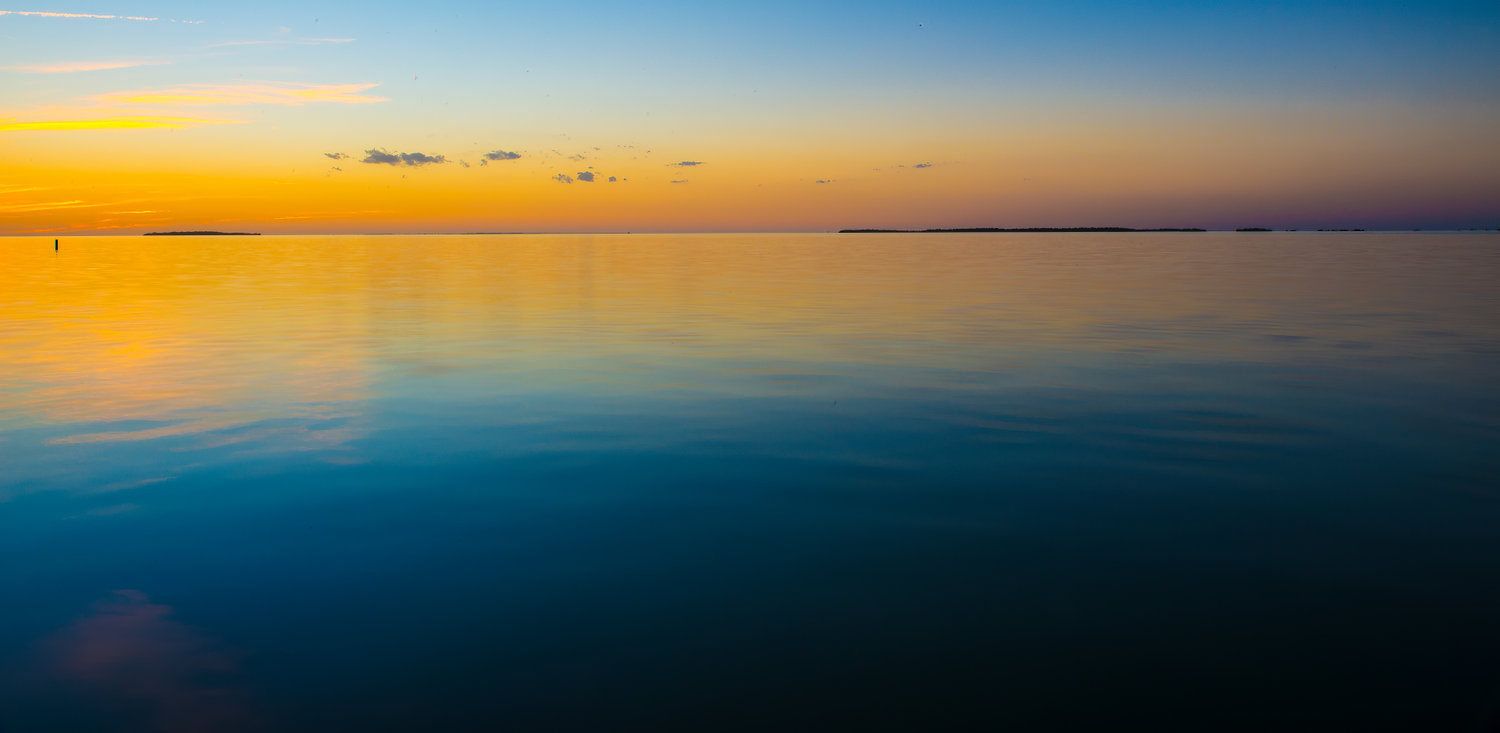 Harnessing the Healing Power of Art and Photography in Healthcare Environments