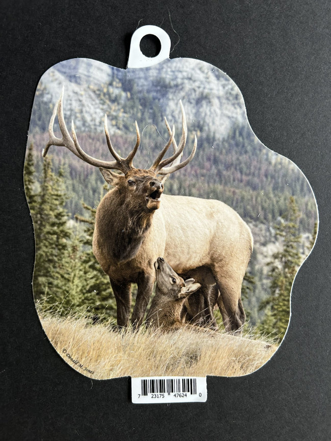 Bull Elk S6 693