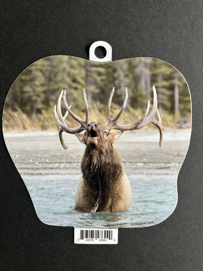 Bull Elk S6 694