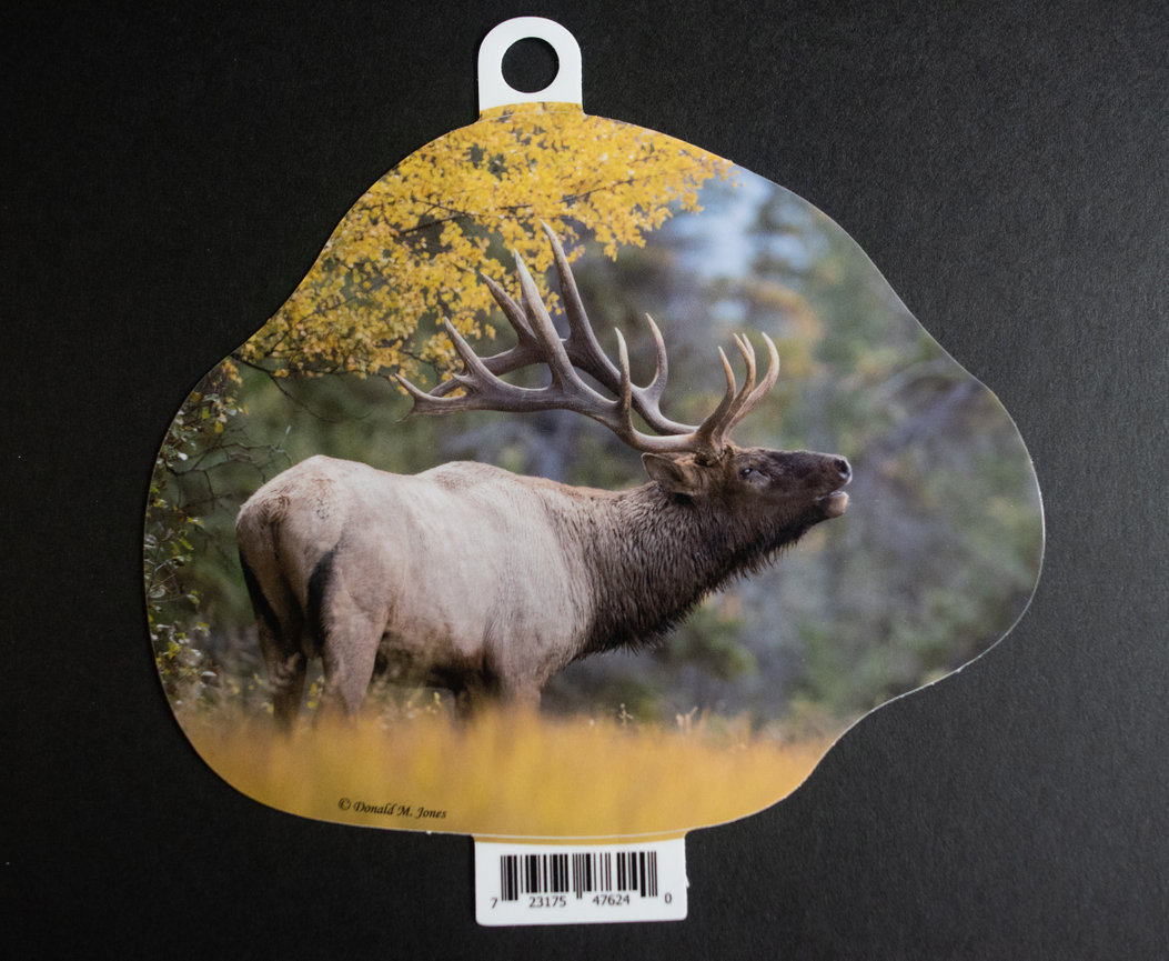 Bull Elk S4 542