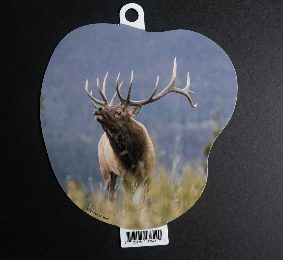 Bull Elk S6 554