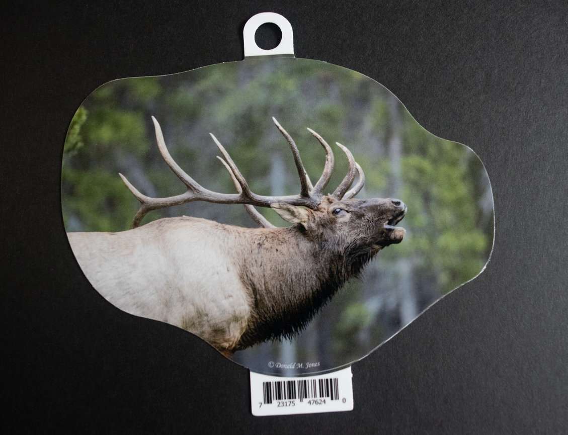 Bull Elk S6 549