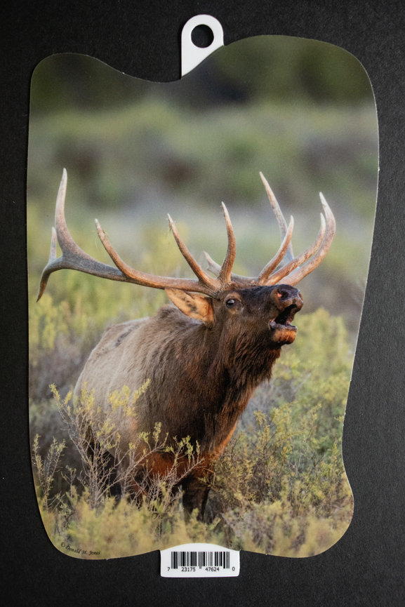 Bull Elk S4 711