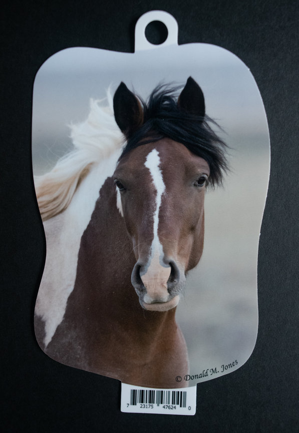 Wild Horse S4 738