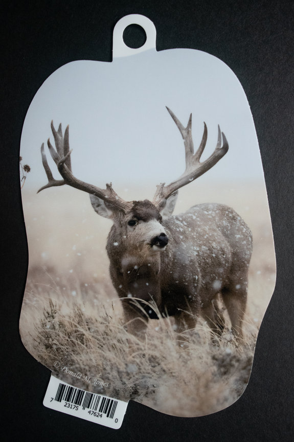 Mule Deer S4 719