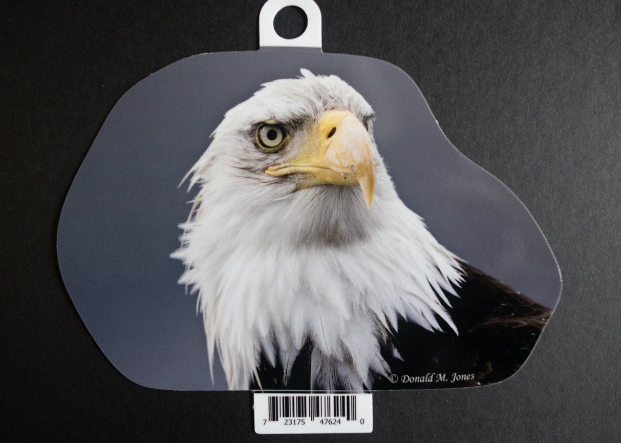 Bald Eagle S6 726