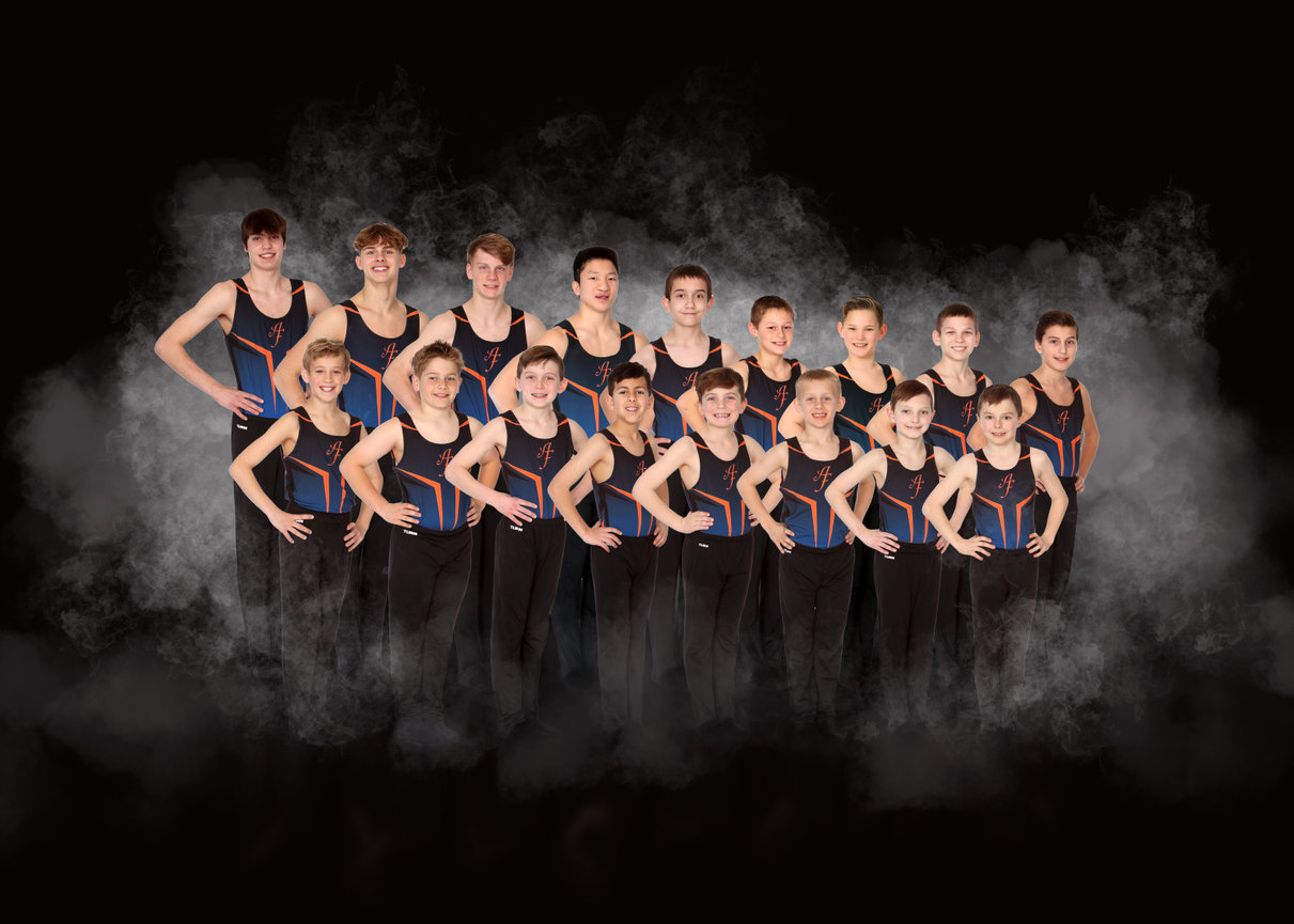 Air Force Gymnastics Teams 2022