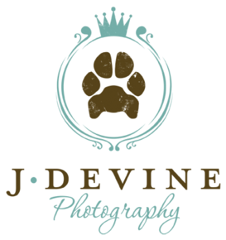 J. Devine Photography Logo