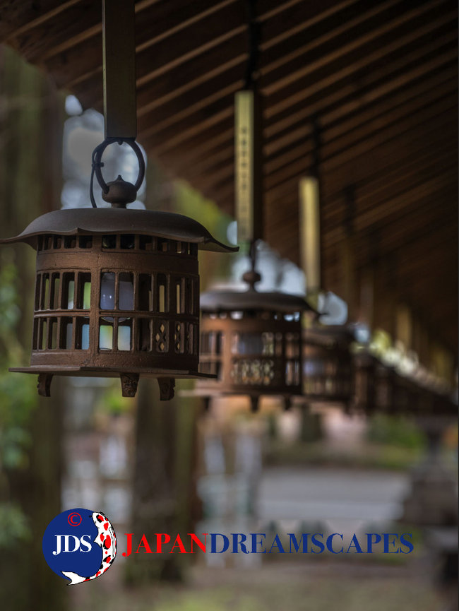 Exploring Hakone’s Hidden Cherry Blossom Photography Gems