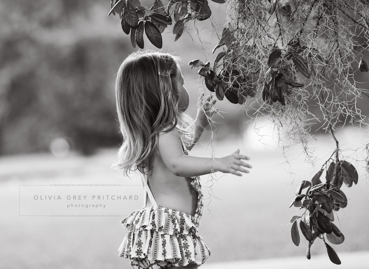 Multi-Generation Family Portraits: a Not-to-Miss Experience!