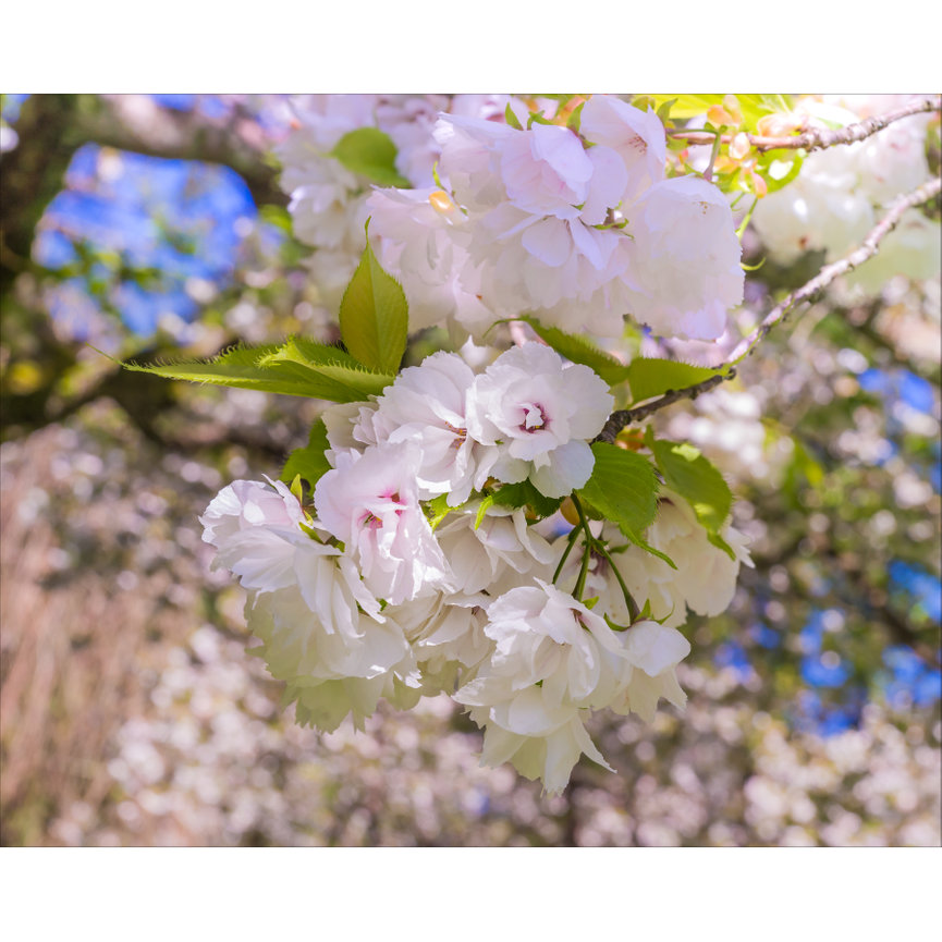 Modern Coastal Home Decor 10 Luxury Beach Inspired Ideas