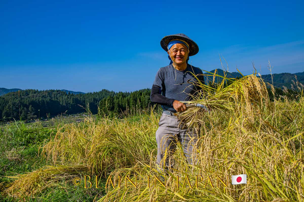 Ultimate Mount Fuji Autumn Photography Tour – Capture Japan’s Breathtaking Fall Foliage