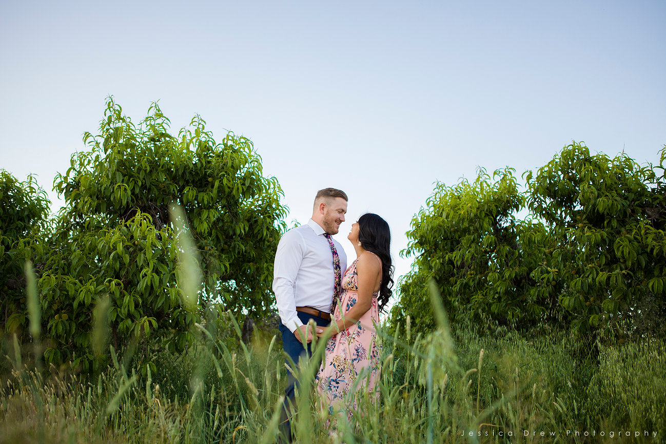 WOOD FAMILY - GILBERT, AZ