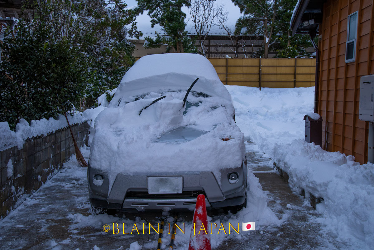 Steller's Sea Eagles - A Hokkaido Wildlife Adventure