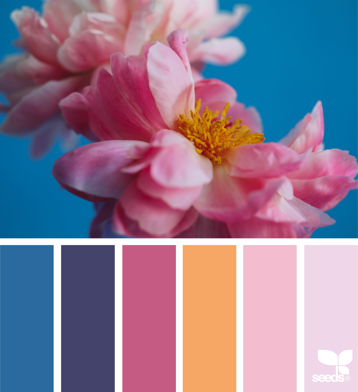 Spring_Colors.png