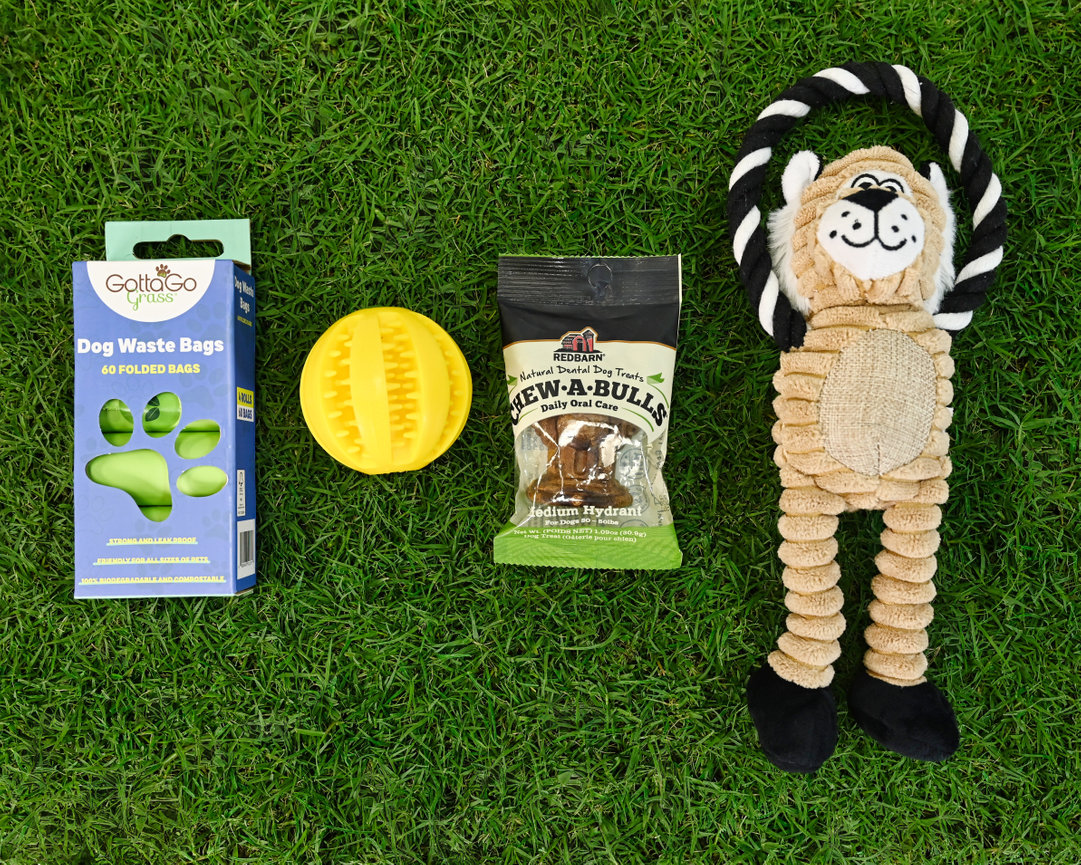 Dog supplies laid out on grass: waste bags, a rubber ball, a chew treat, and a plush toy.