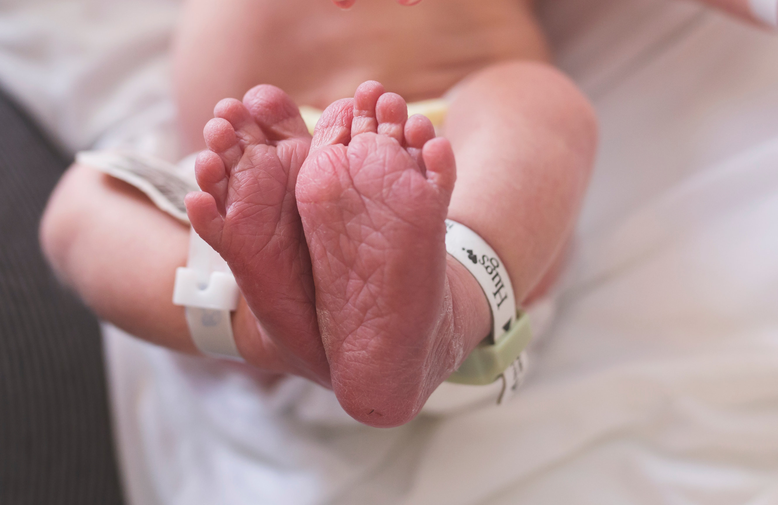 FRESH 48 & BIRTH Baby Bliss Studio, LLC