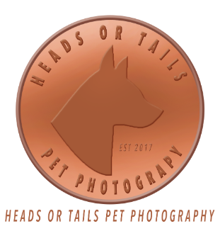 Heads or Tails Pet Photography Logo