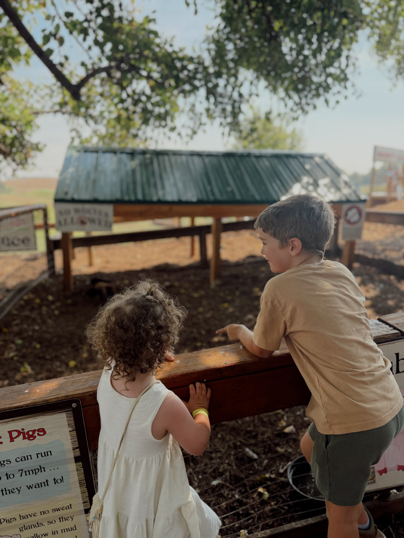 Experience and destination storytelling by Hello From Cass