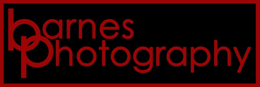 Barnes Photography Logo
