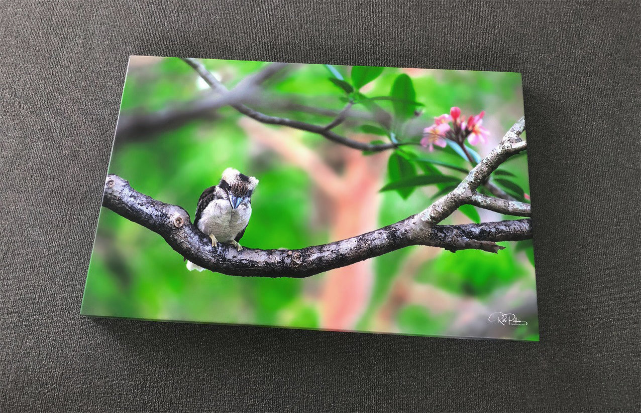 Premium & Affordable Canvas Printing Australia Free Gold Coast Delivery Your Photo On Canvas