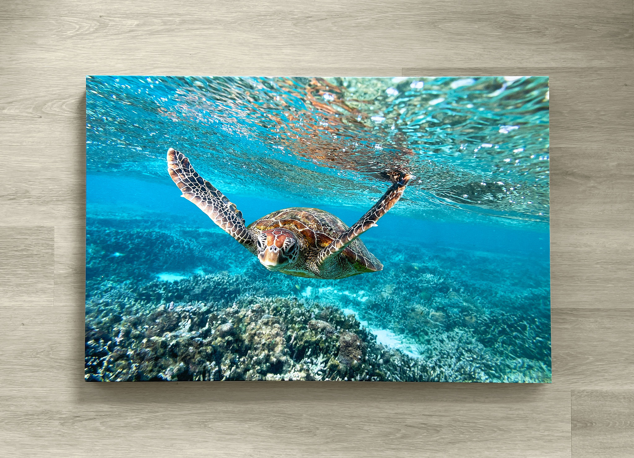 Premium & Affordable Canvas Printing Gold Coast | Your Photo On Canvas