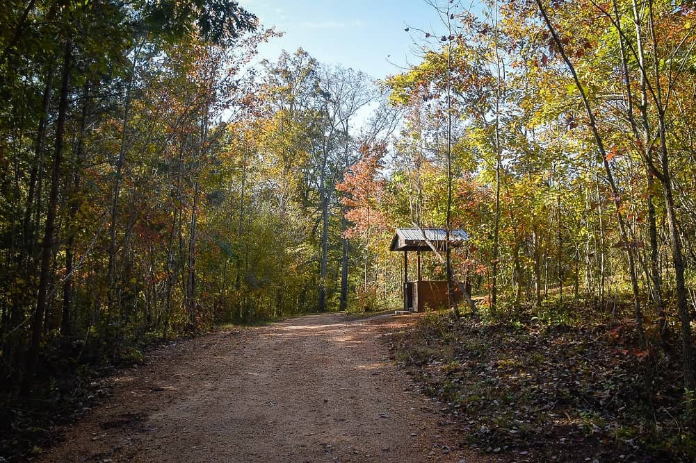 Sporting Clays Courses - Paragon School of Sporting Inc.