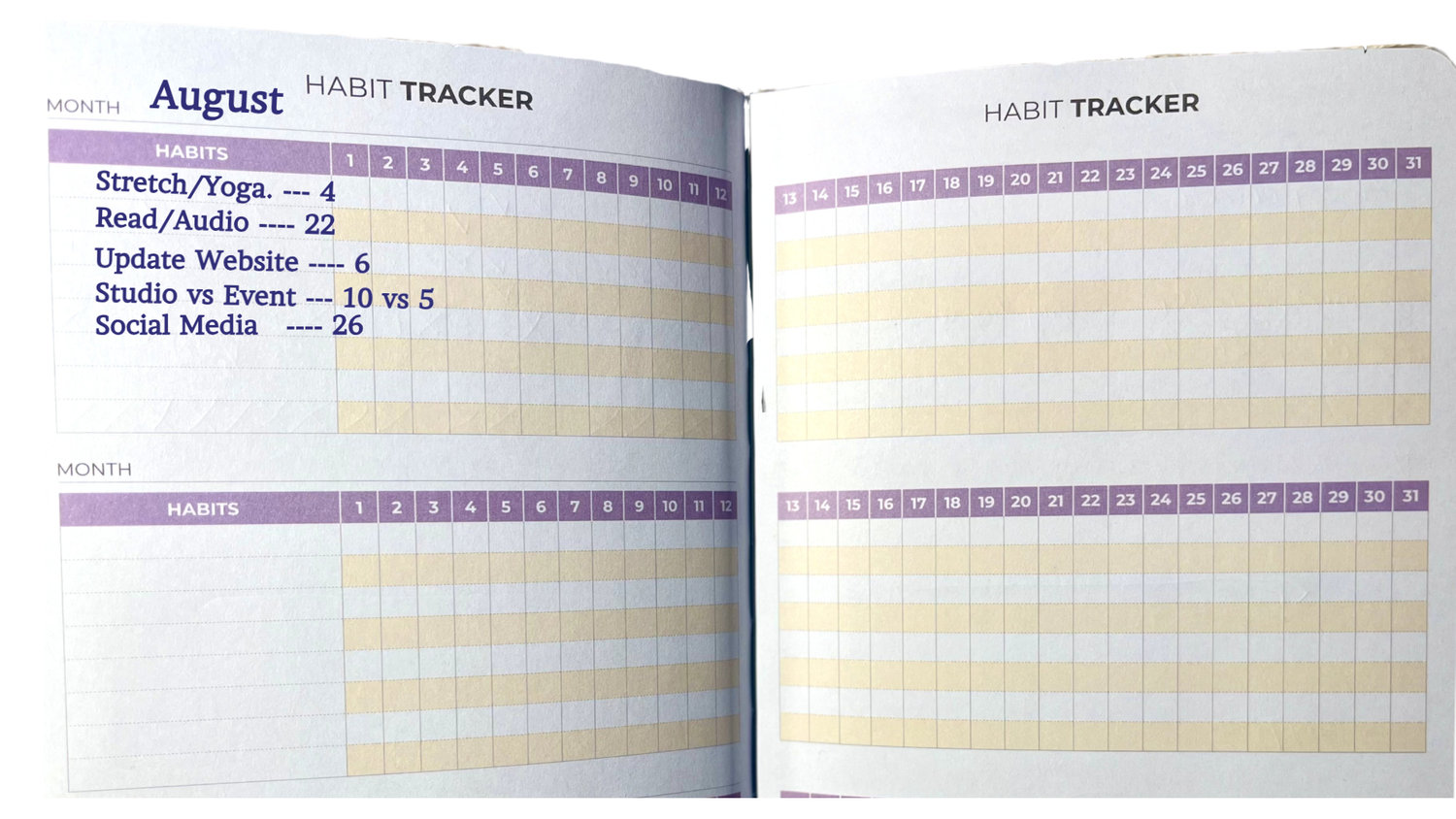 Image of a Habit Tracker chart