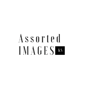 Assorted.Images Logo