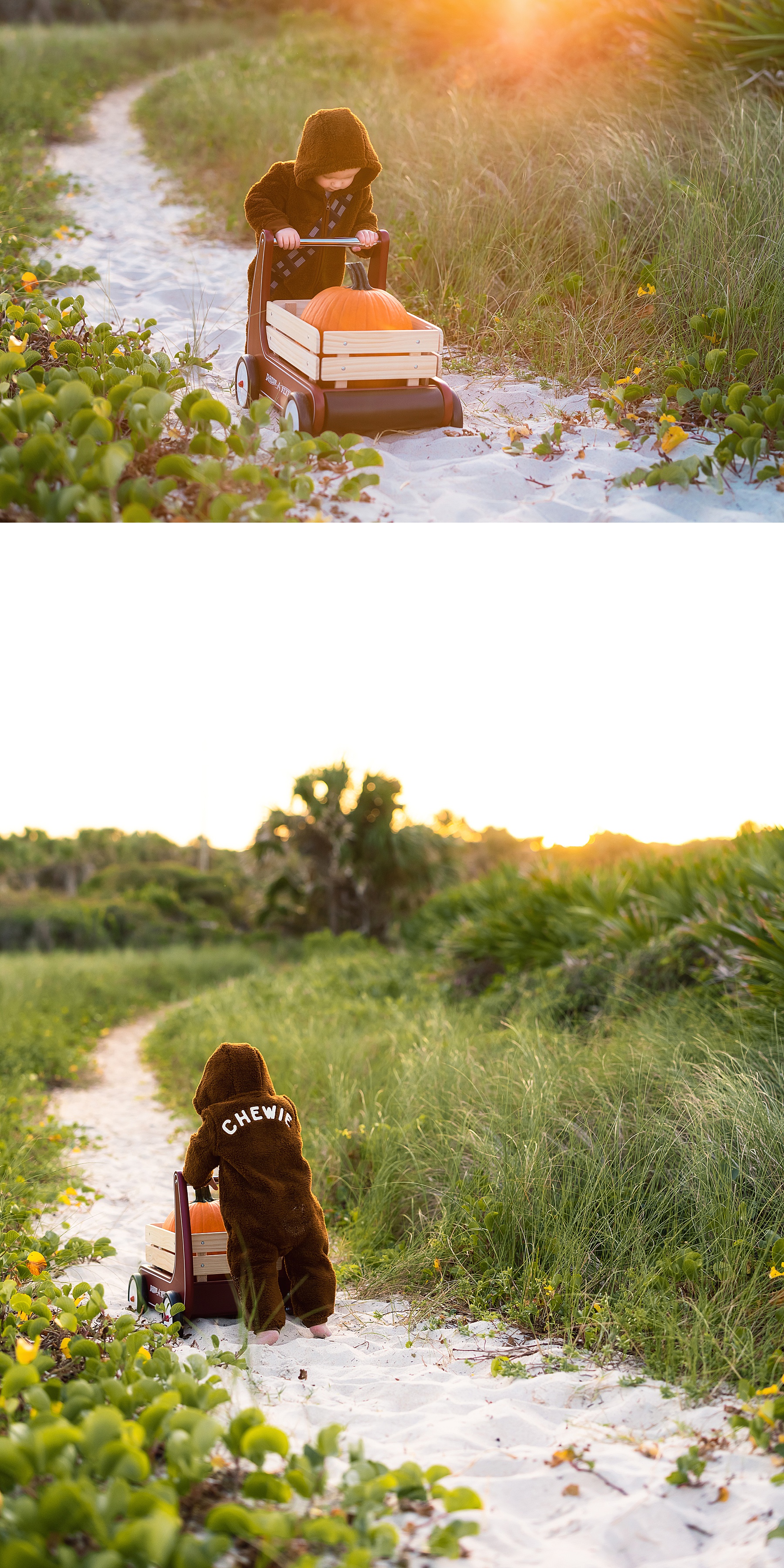 baby boy walking on beach in a chewie costume with a pumpkin