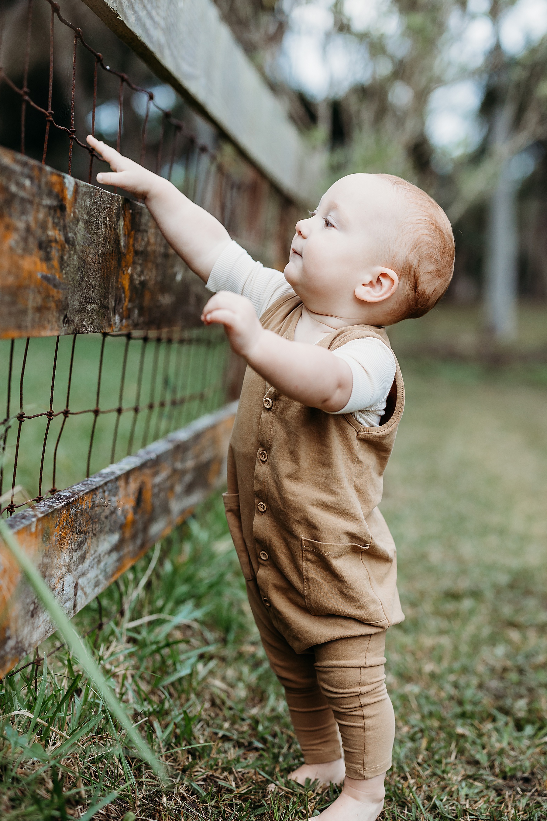 baby boy with read hair in neutral overalls looking at camera standing by fence