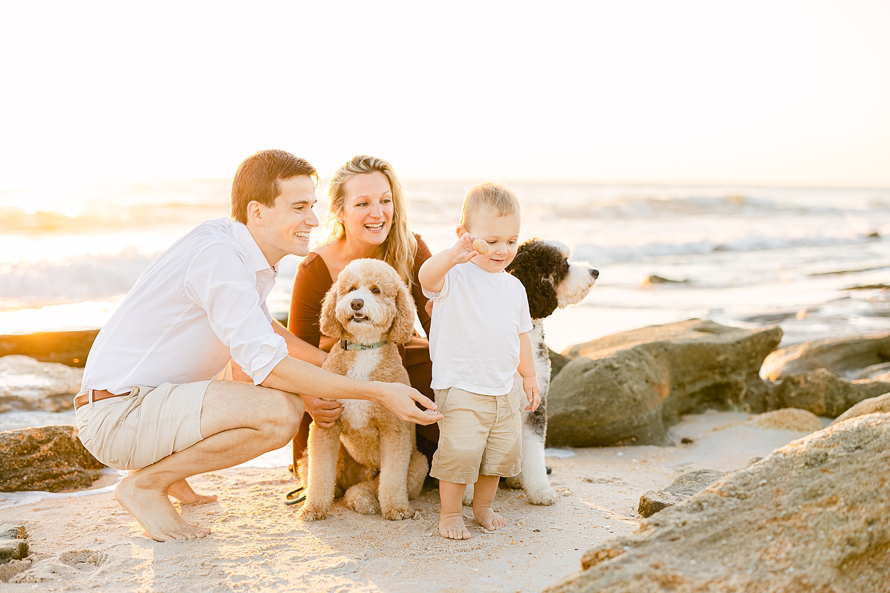 family playing on st. augustine beach with their dogs at sunrise 