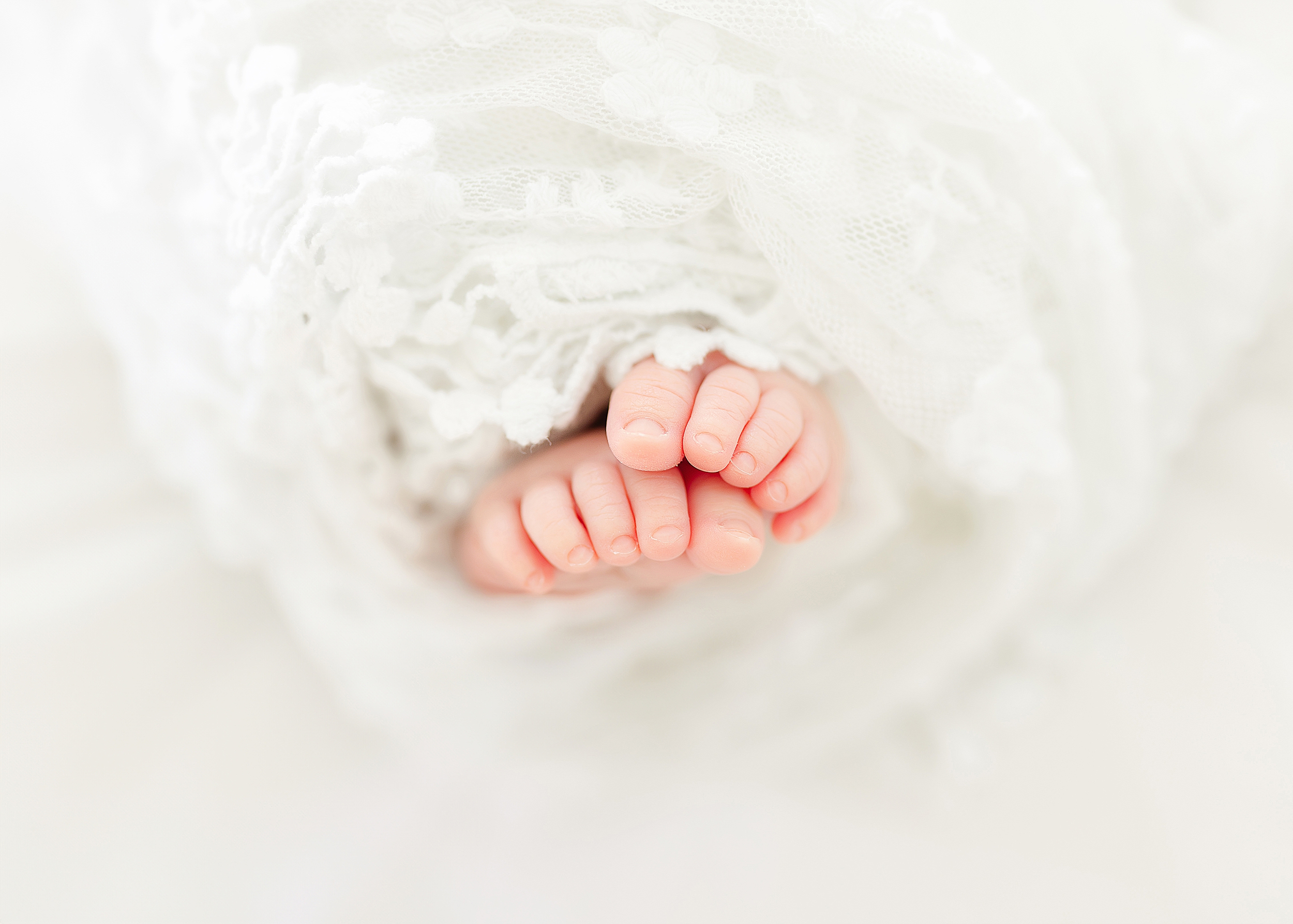 A close-up macro shot of a newborn baby girls tiny toes.