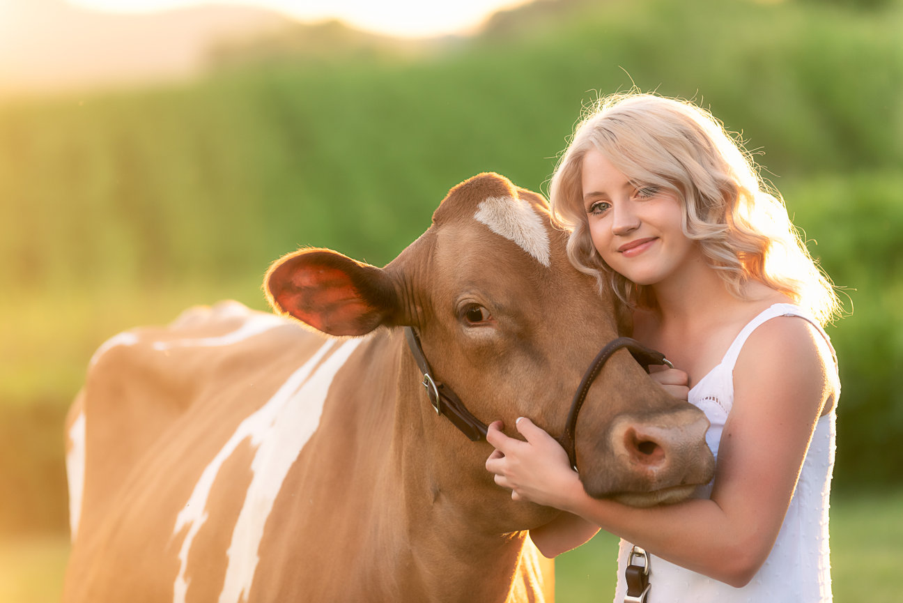 Senior Girl with her Cow she shows in FFA La Crosse WI