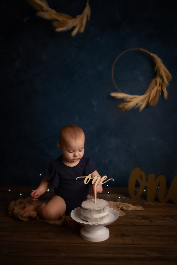Studio Cake smash session La Crosse Wi