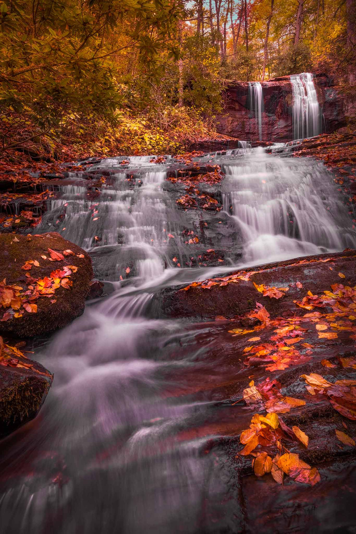 Leafy Creek