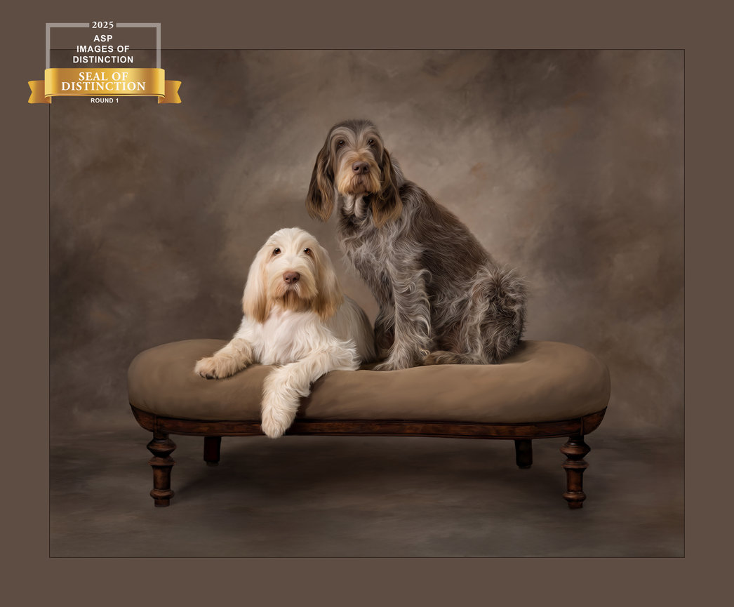 Two dogs resting on a tufted bench against a soft, textured background.